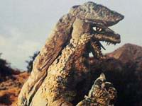 5 炸彈怪獸 哥斯杜羅.jpg