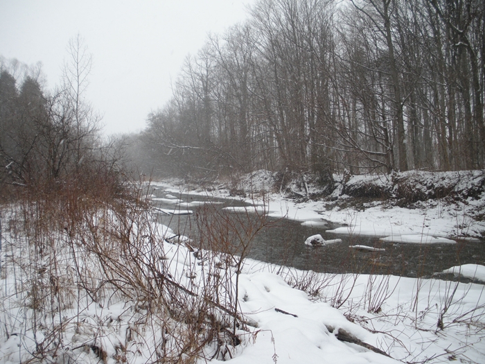 2.JPG