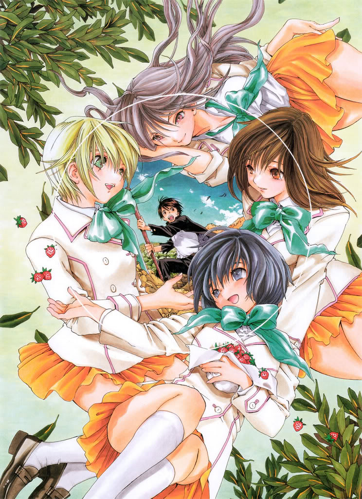 草莓100% (13).jpg