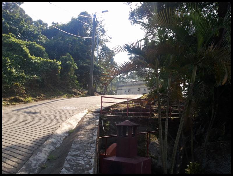 2010-10-31 14.29.49.jpg