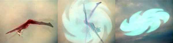 3 身軀回力刀.jpg