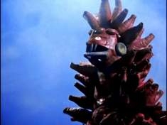 6 泡沫星人 阿尔戈星人.jpg