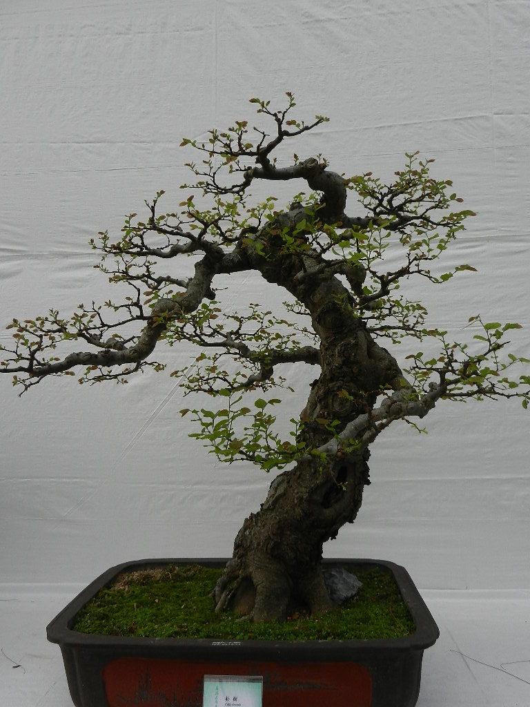 DSCN5642.JPG