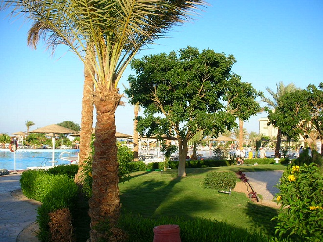 DSCN0311.JPG