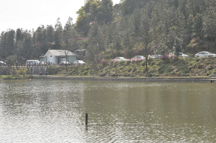 DSC_5902.jpg