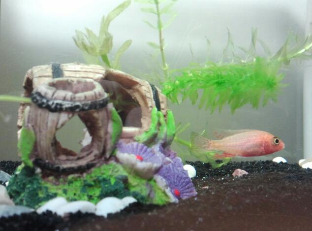 2012-03-25 16.21.32-1.jpg