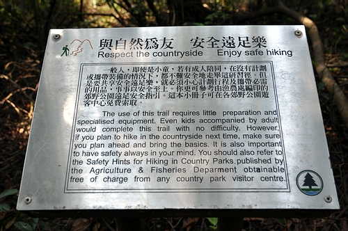 DSC_0446.JPG