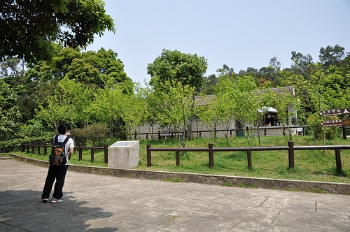 DSC_0477.JPG
