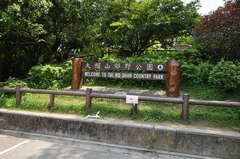 DSC_0492.JPG