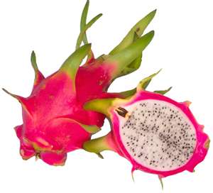 dragon fruit.jpg