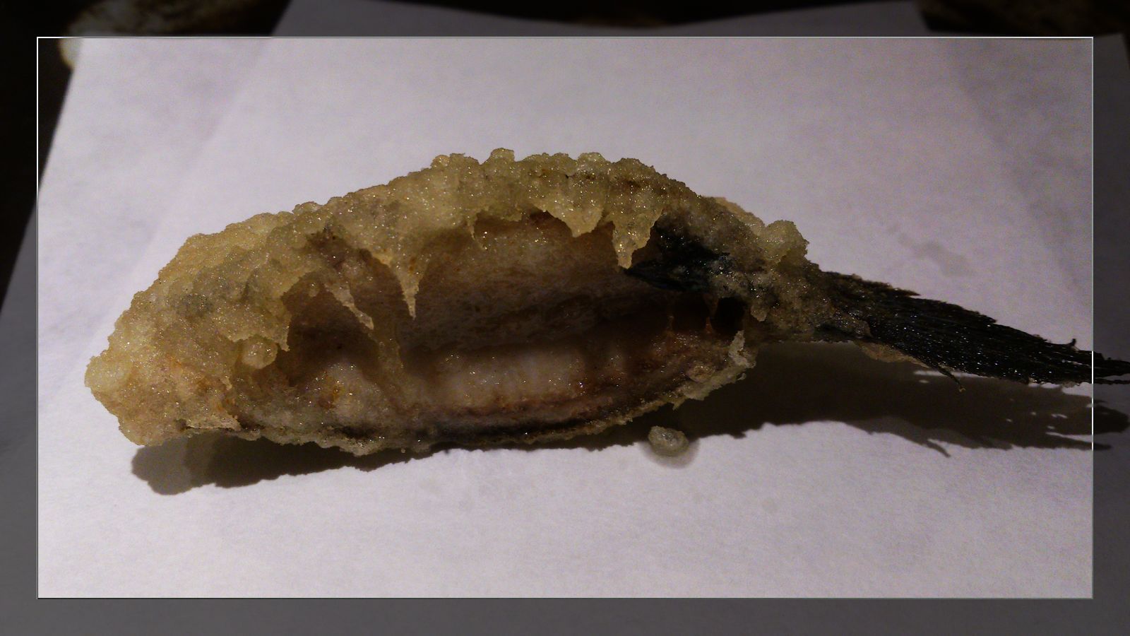 DSC_0025r.jpg