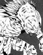 8 迪里達布里.jpg