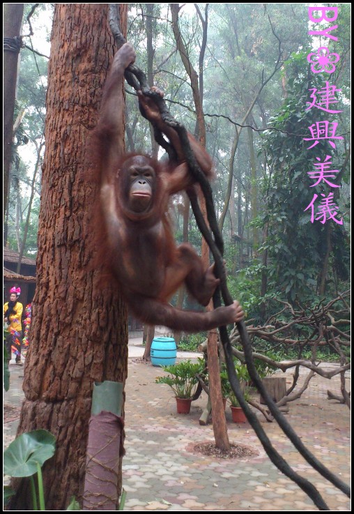DSC_0178_conew1.jpg
