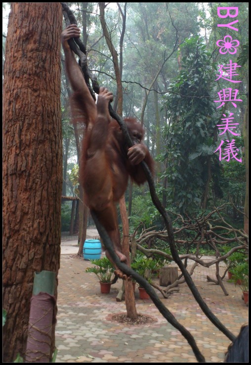 DSC_0181_conew1.jpg