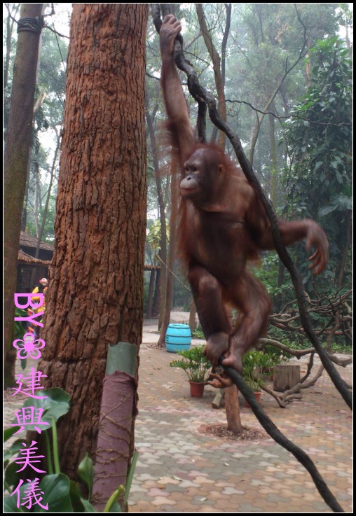 DSC_0182_conew1.jpg