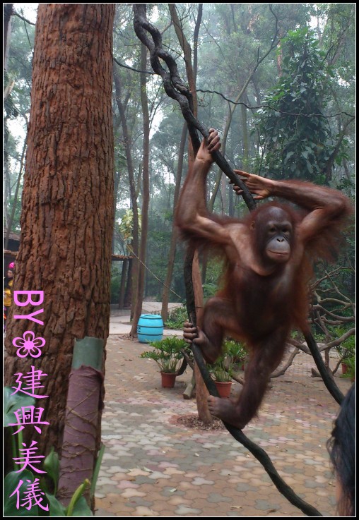 DSC_0185_conew1.jpg