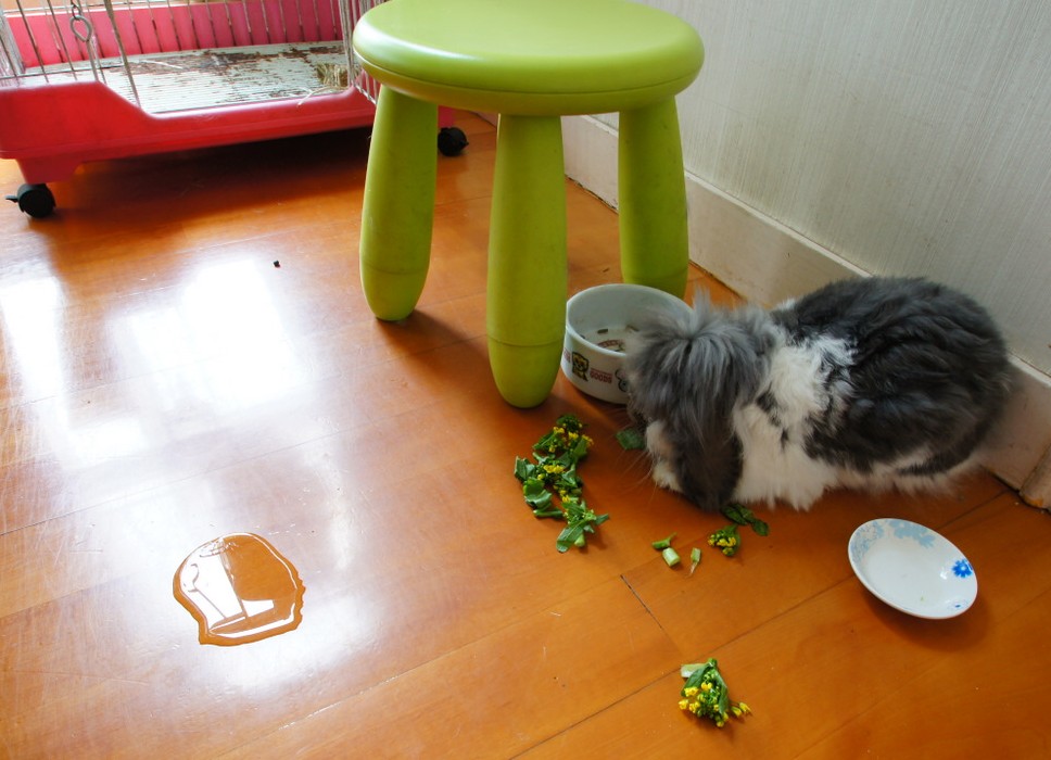 DSC06741.JPG
