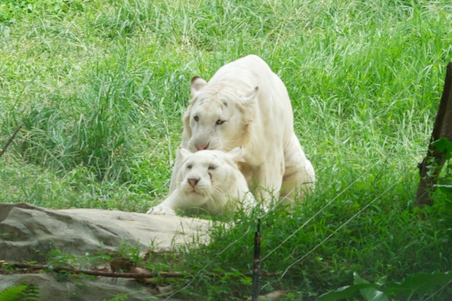 2009-09-06 at 15-00-17.jpg
