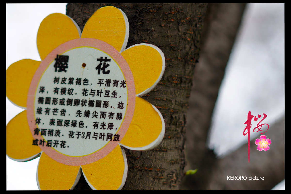 DSC09402.jpg