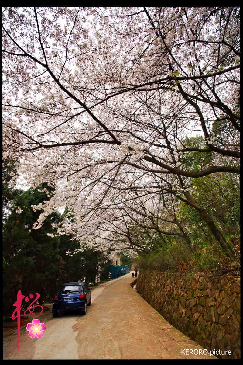 DSC09310K.jpg