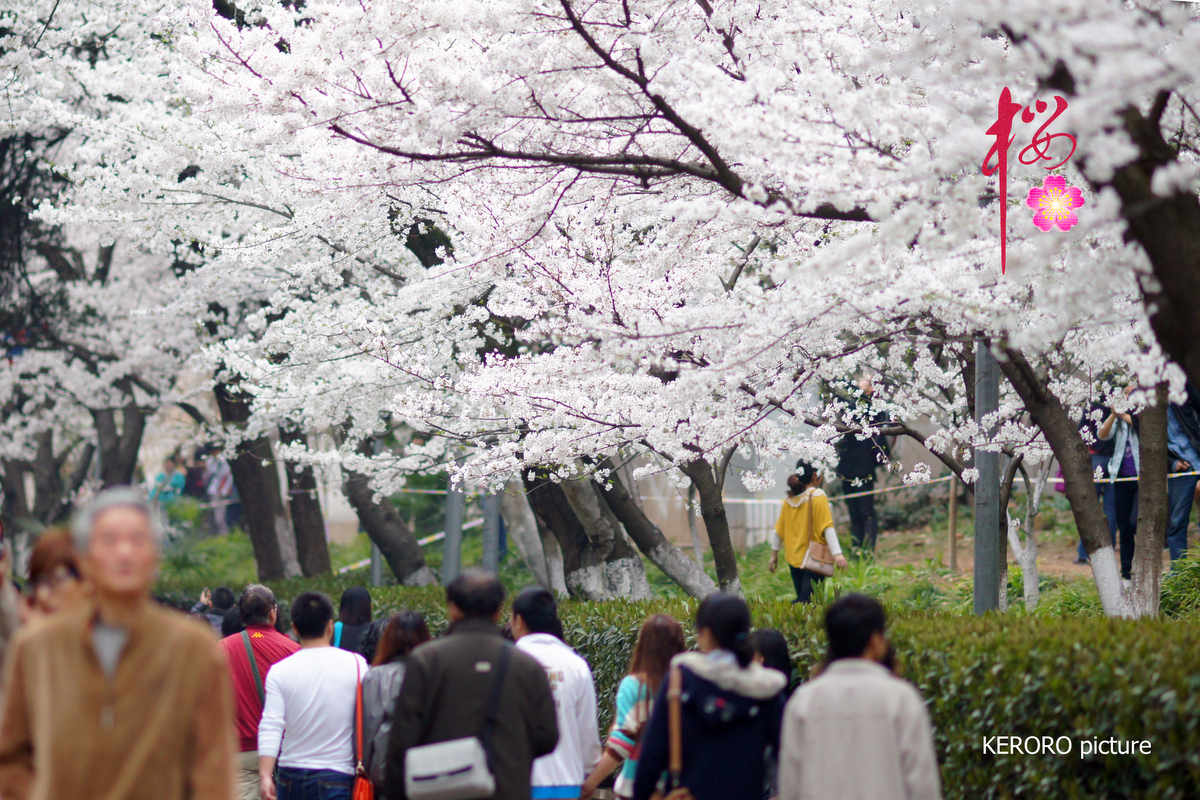 DSC09524C.jpg