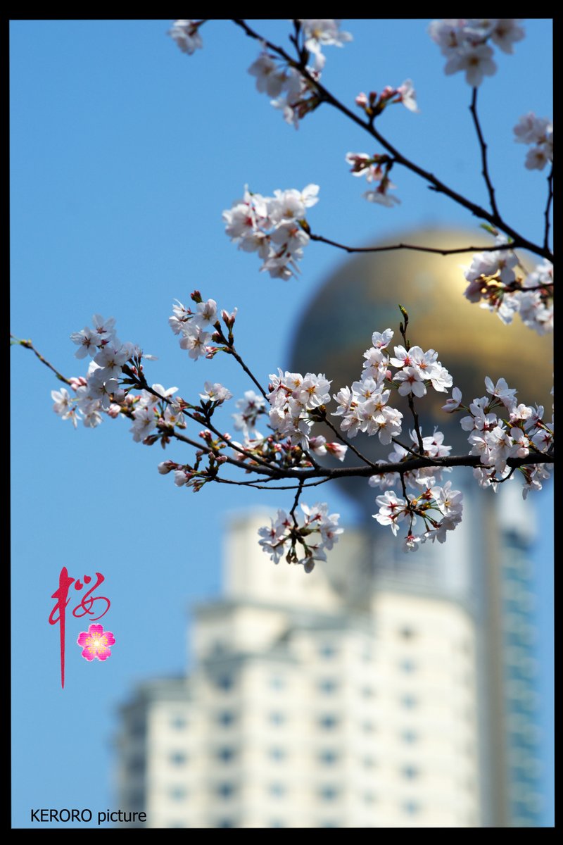 DSC09573K2.jpg