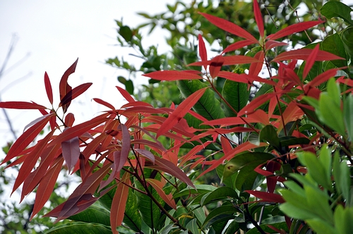 DSC_0756.JPG