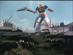 8 大電神迴力標.jpg