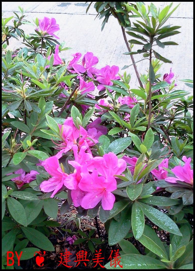 2012-04-06 13.37.20.jpg