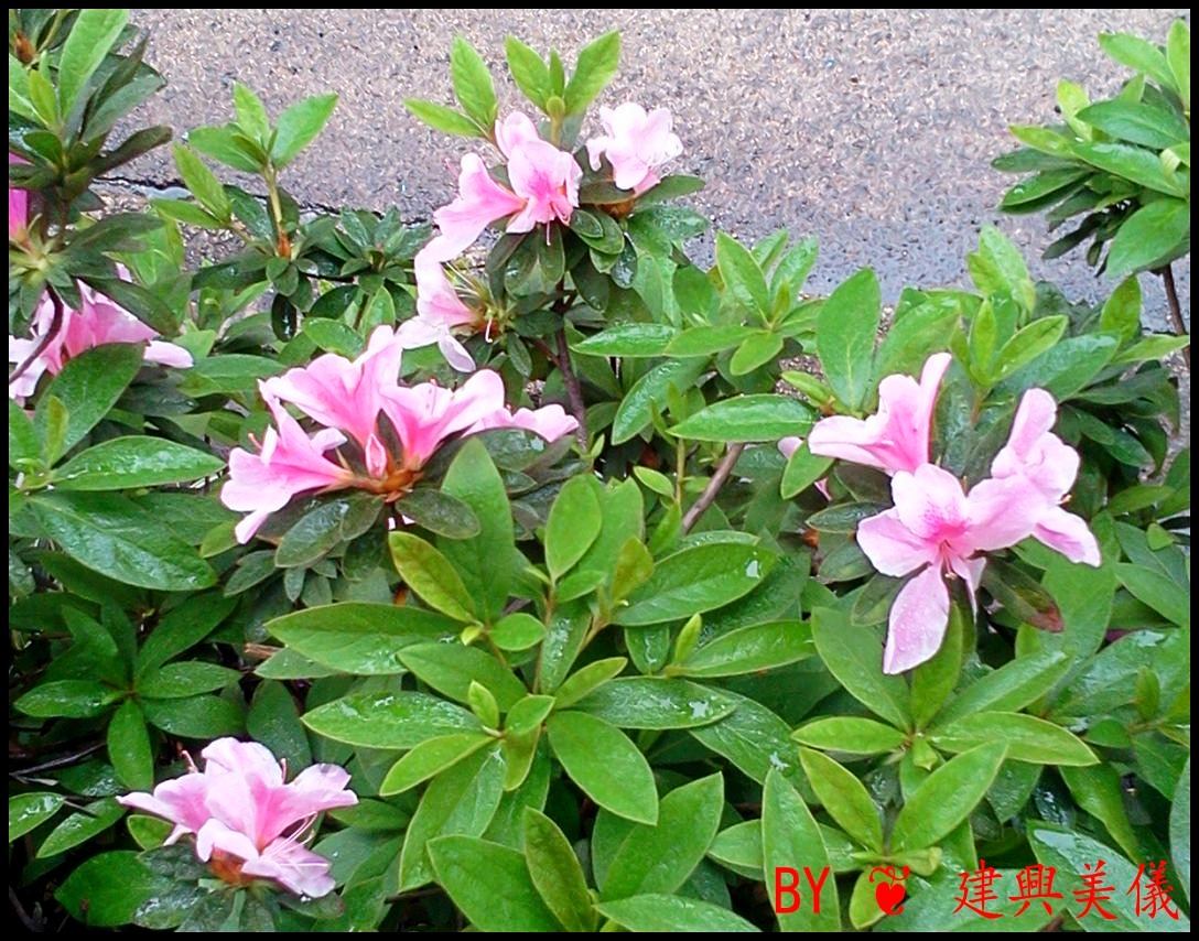 2012-04-06 13.37.52.jpg