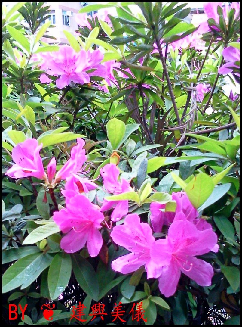 2012-04-06 13.40.17.jpg