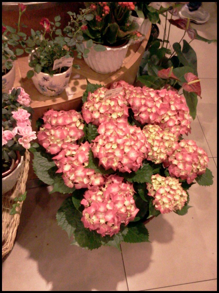 2012-04-06 14.04.25.jpg