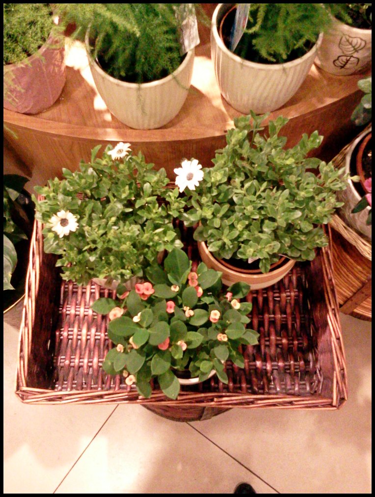 2012-04-06 14.05.26.jpg