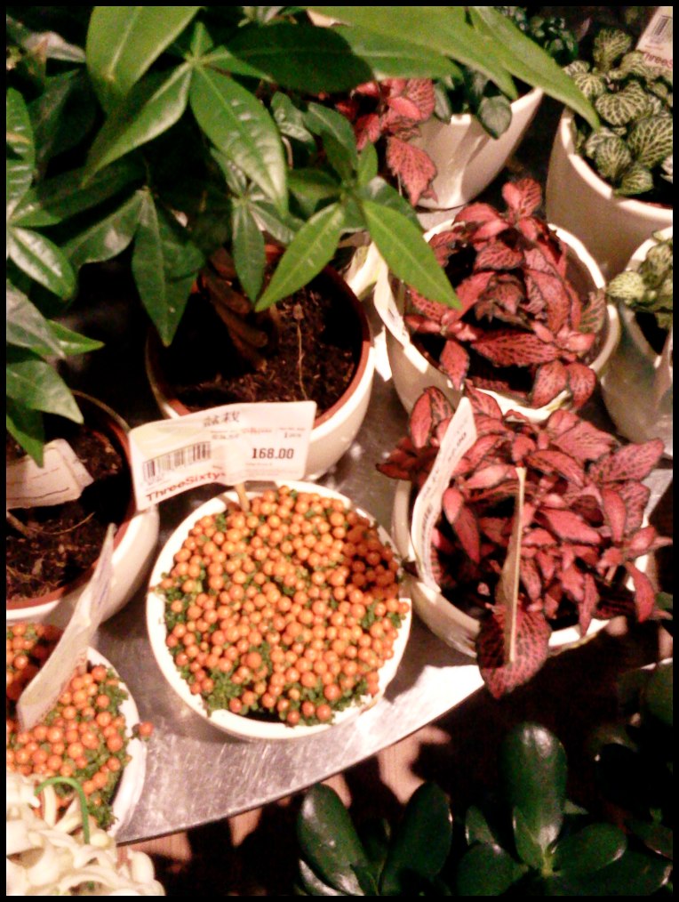 2012-04-06 14.05.52.jpg