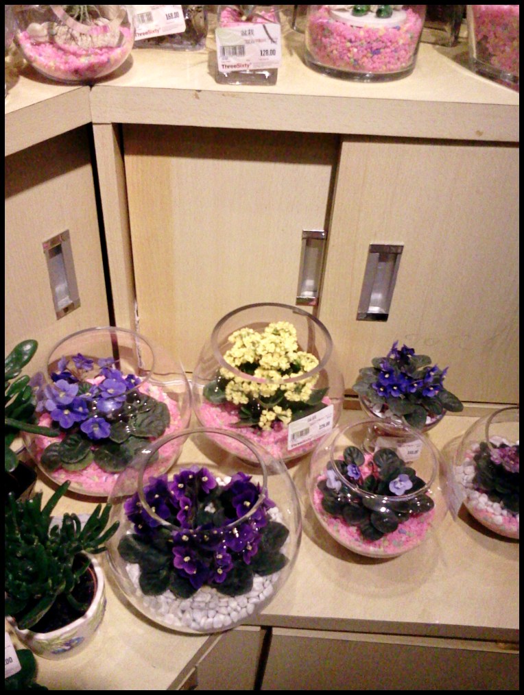 2012-04-06 14.06.55.jpg