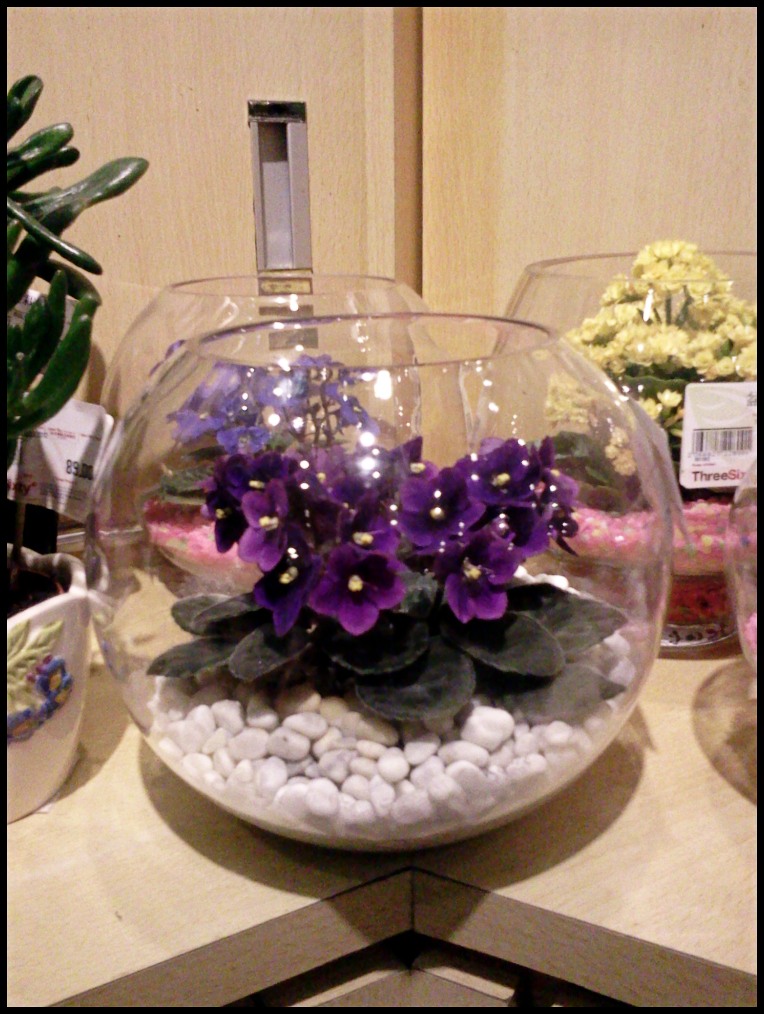 2012-04-06 14.07.31.jpg