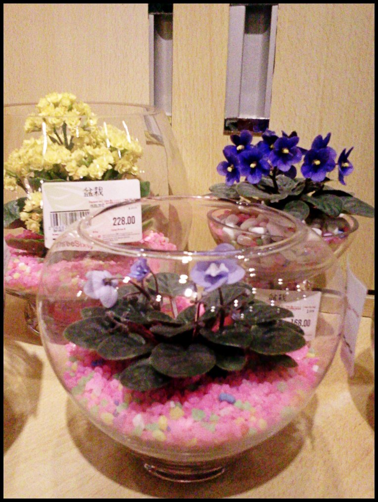 2012-04-06 14.07.38.jpg