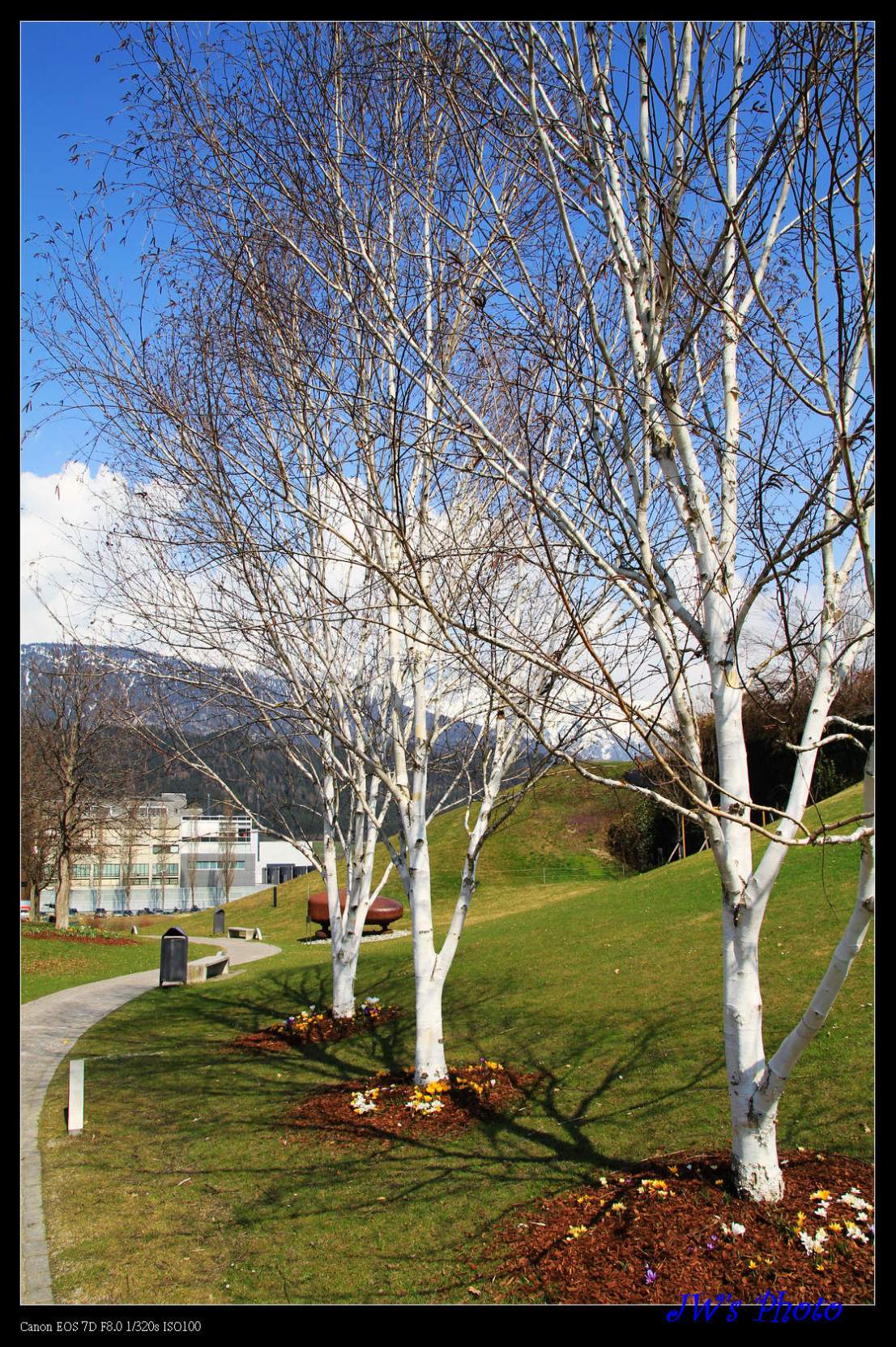 IMG_4752.jpg