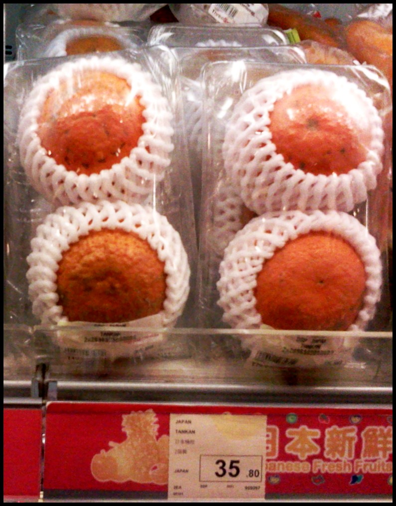 2012-04-06 14.14.47.jpg