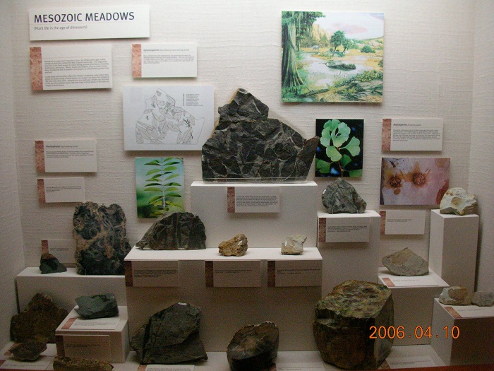 DSCN2687.JPG