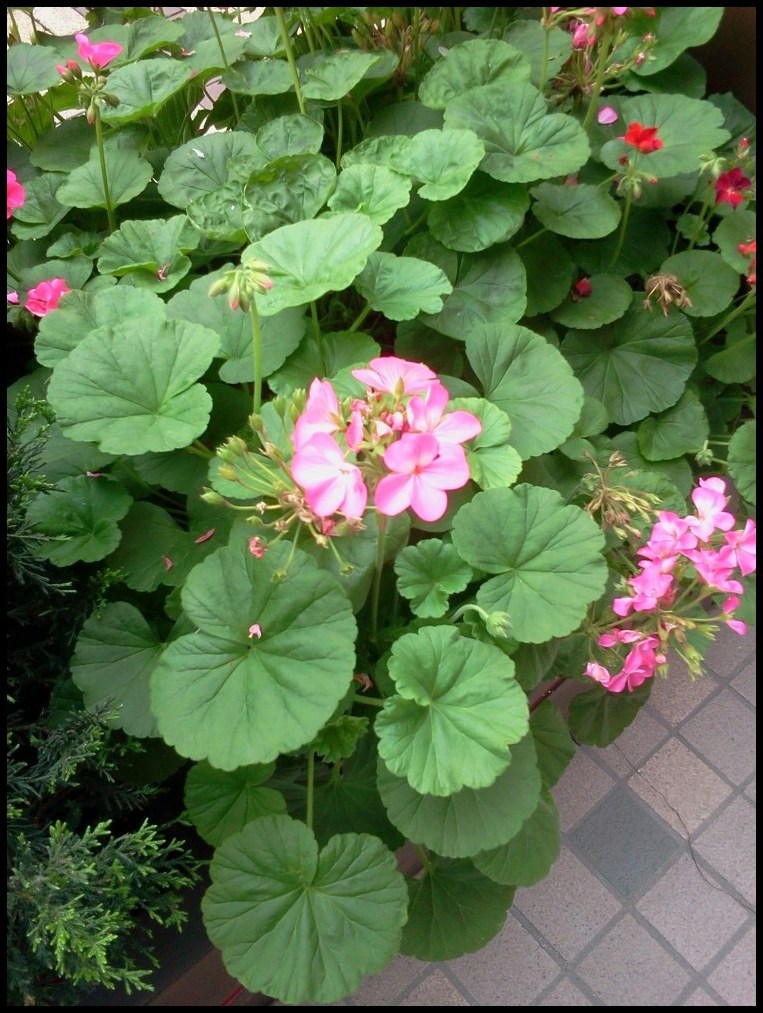 2012-04-08 15.10.27.jpg