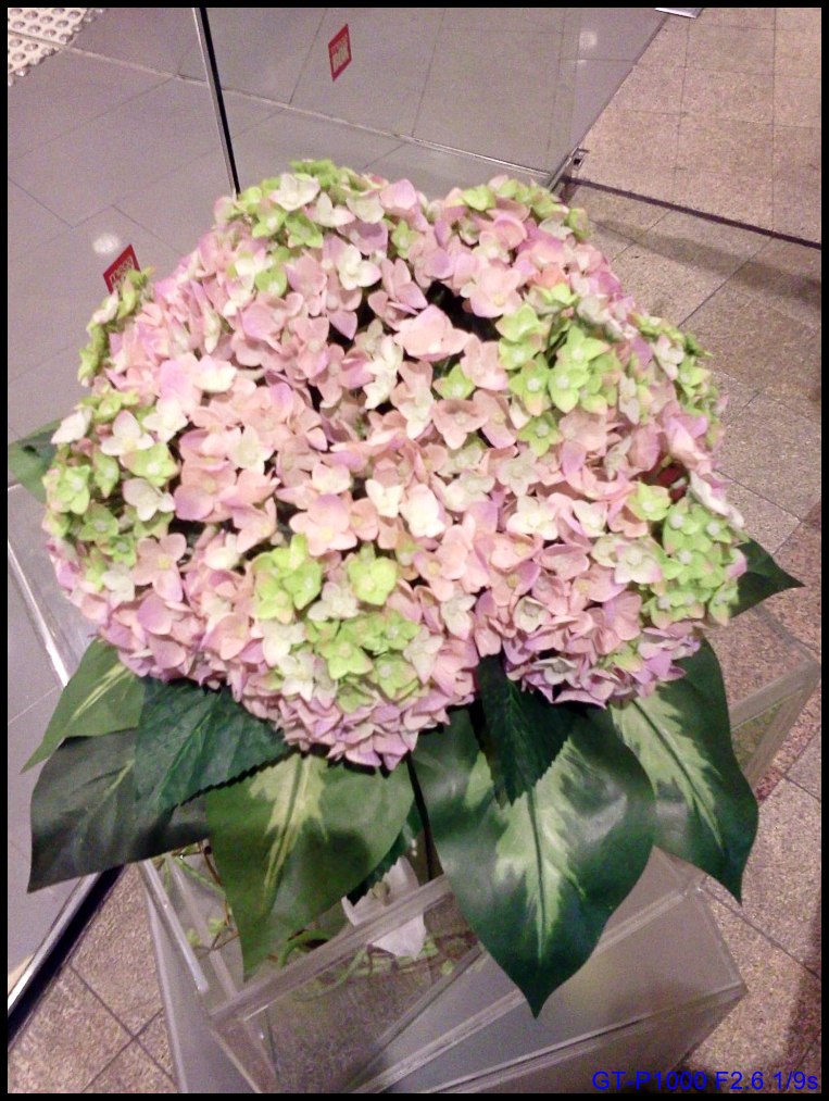 2012-04-08 15.15.32.jpg