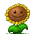 sun flower.gif