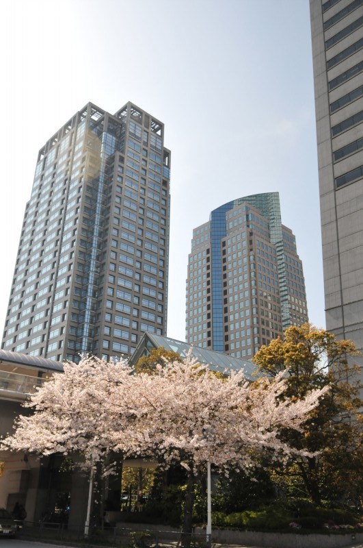 DSC_4994.jpg