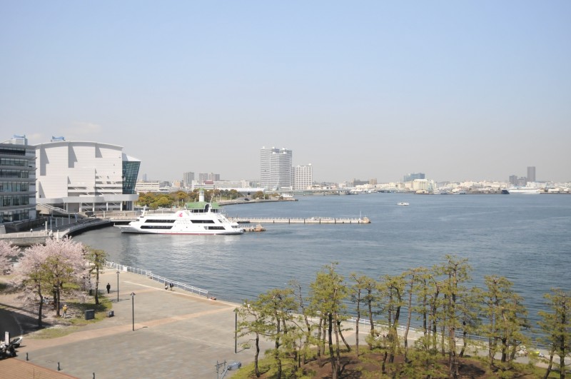 DSC_4926.jpg