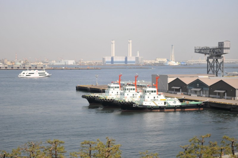 DSC_4931.jpg