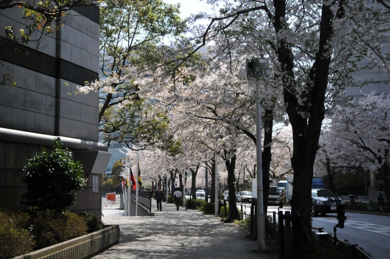 DSC_4987.jpg
