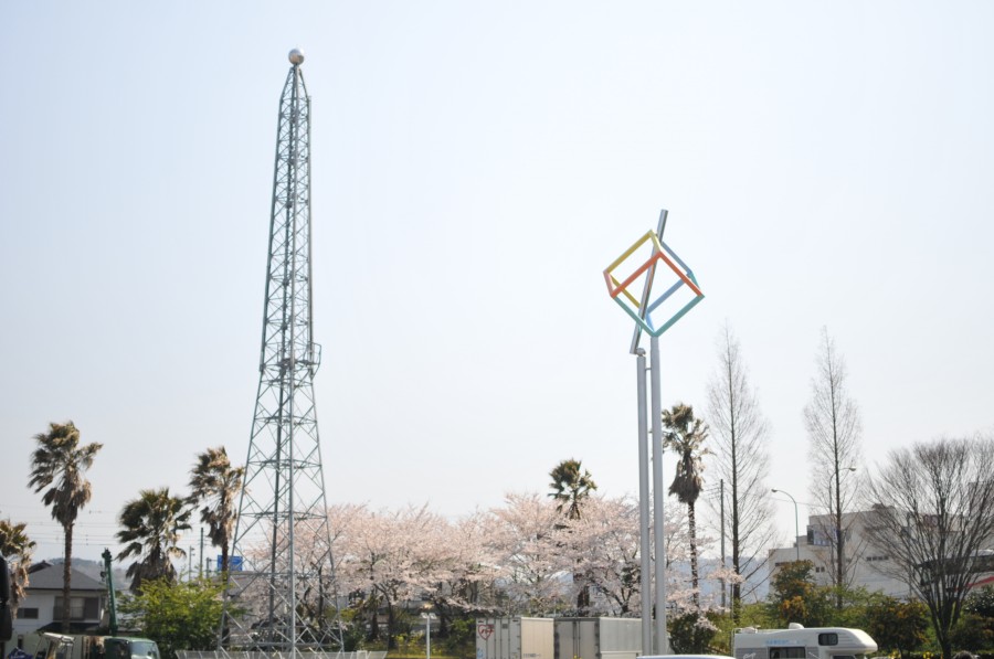 DSC_4334.jpg