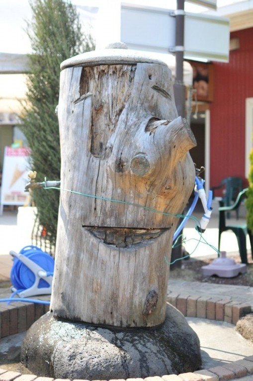 DSC_4347.jpg