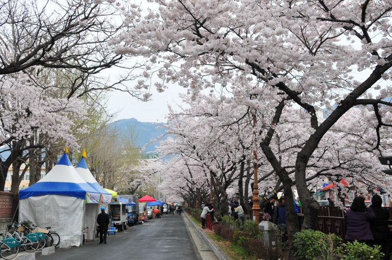 DSC_8399 [800x600].jpg